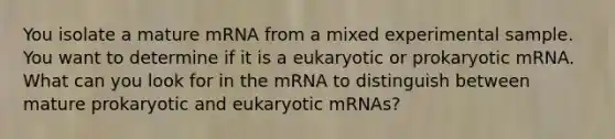 You isolate a mature mRNA from a mixed experimental sample. You want to determine if it is a eukaryotic or prokaryotic mRNA. What can you look for in the mRNA to distinguish between mature prokaryotic and eukaryotic mRNAs?