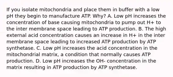 If you isolate mitochondria and place them in buffer with a low pH they begin to manufacture ATP. Why? A. Low pH increases the concentration of base causing mitochondria to pump out H+ to the inter membrane space leading to ATP production. B. The high external acid concentration causes an increase in H+ in the inter membrane space leading to increased ATP production by ATP synthetase. C. Low pH increases the acid concentration in the mitochondrial matrix, a condition that normally causes ATP production. D. Low pH increases the OH- concentration in the matrix resulting in ATP production by ATP synthetase.