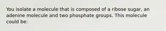 You isolate a molecule that is composed of a ribose sugar, an adenine molecule and two phosphate groups. This molecule could be: