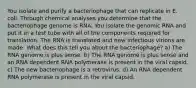 You isolate and purify a bacteriophage that can replicate in E. coli. Through chemical analyses you determine that the bacteriophage genome is RNA. You isolate the genomic RNA and put it in a test tube with all of the components required for translation. The RNA is translated and new infectious virions are made. What does this tell you about the bacteriophage? a) The RNA genome is plus sense. b) The RNA genome is plus sense and an RNA dependent RNA polymerase is present in the viral capsid. c) The new bacteriophage is a retrovirus. d) An RNA dependent RNA polymerase is present in the viral capsid.