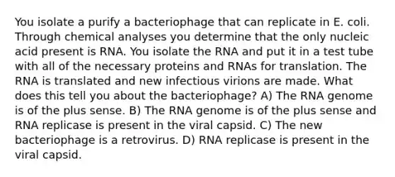 You isolate a purify a bacteriophage that can replicate in E. coli. Through chemical analyses you determine that the only nucleic acid present is RNA. You isolate the RNA and put it in a test tube with all of the necessary proteins and RNAs for translation. The RNA is translated and new infectious virions are made. What does this tell you about the bacteriophage? A) The RNA genome is of the plus sense. B) The RNA genome is of the plus sense and RNA replicase is present in the viral capsid. C) The new bacteriophage is a retrovirus. D) RNA replicase is present in the viral capsid.