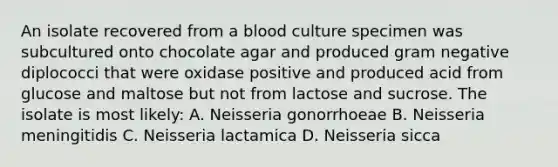 An isolate recovered from a blood culture specimen was subcultured onto chocolate agar and produced gram negative diplococci that were oxidase positive and produced acid from glucose and maltose but not from lactose and sucrose. The isolate is most likely: A. Neisseria gonorrhoeae B. Neisseria meningitidis C. Neisseria lactamica D. Neisseria sicca