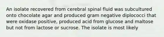 An isolate recovered from cerebral spinal fluid was subcultured onto chocolate agar and produced gram negative diplococci that were oxidase positive, produced acid from glucose and maltose but not from lactose or sucrose. The isolate is most likely