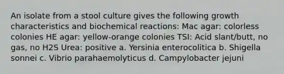 An isolate from a stool culture gives the following growth characteristics and biochemical reactions: Mac agar: colorless colonies HE agar: yellow-orange colonies TSI: Acid slant/butt, no gas, no H2S Urea: positive a. Yersinia enterocolitica b. Shigella sonnei c. Vibrio parahaemolyticus d. Campylobacter jejuni