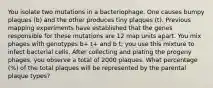 You isolate two mutations in a bacteriophage. One causes bumpy plaques (b) and the other produces tiny plaques (t). Previous mapping experiments have established that the genes responsible for these mutations are 12 map units apart. You mix phages with genotypes b+ t+ and b t; you use this mixture to infect bacterial cells. After collecting and plating the progeny phages, you observe a total of 2000 plaques. What percentage (%) of the total plaques will be represented by the parental plaque types?