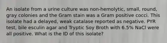 An isolate from a urine culture was non-hemolytic, small, round, gray colonies and the Gram stain was a Gram positive cocci. This isolate had a delayed, weak catalase reported as negative. PYR test, bile esculin agar and Tryptic Soy Broth with 6.5% NaCl were all positive. What is the ID of this isolate?