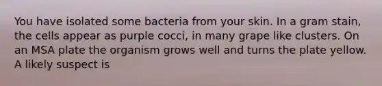 You have isolated some bacteria from your skin. In a gram stain, the cells appear as purple cocci, in many grape like clusters. On an MSA plate the organism grows well and turns the plate yellow. A likely suspect is