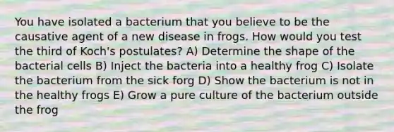 You have isolated a bacterium that you believe to be the causative agent of a new disease in frogs. How would you test the third of Koch's postulates? A) Determine the shape of the bacterial cells B) Inject the bacteria into a healthy frog C) Isolate the bacterium from the sick forg D) Show the bacterium is not in the healthy frogs E) Grow a pure culture of the bacterium outside the frog