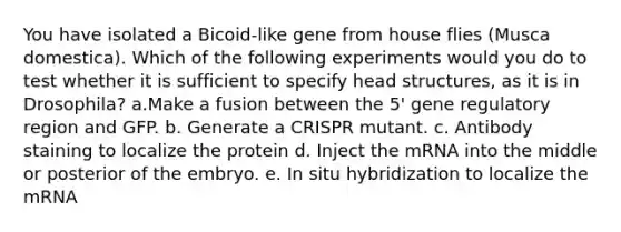 You have isolated a Bicoid-like gene from house flies (Musca domestica). Which of the following experiments would you do to test whether it is sufficient to specify head structures, as it is in Drosophila? a.Make a fusion between the 5' gene regulatory region and GFP. b. Generate a CRISPR mutant. c. Antibody staining to localize the protein d. Inject the mRNA into the middle or posterior of the embryo. e. In situ hybridization to localize the mRNA