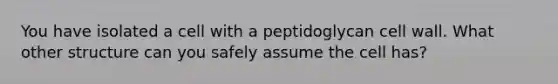 You have isolated a cell with a peptidoglycan cell wall. What other structure can you safely assume the cell has?