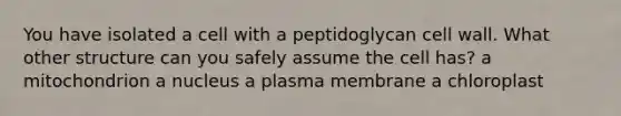 You have isolated a cell with a peptidoglycan cell wall. What other structure can you safely assume the cell has? a mitochondrion a nucleus a plasma membrane a chloroplast