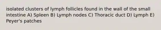 isolated clusters of lymph follicles found in the wall of the small intestine A) Spleen B) Lymph nodes C) Thoracic duct D) Lymph E) Peyer's patches