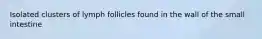 Isolated clusters of lymph follicles found in the wall of the small intestine