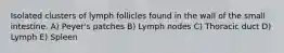 Isolated clusters of lymph follicles found in the wall of the small intestine. A) Peyer's patches B) Lymph nodes C) Thoracic duct D) Lymph E) Spleen