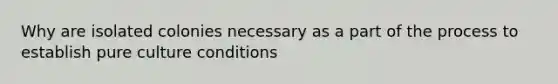 Why are isolated colonies necessary as a part of the process to establish pure culture conditions