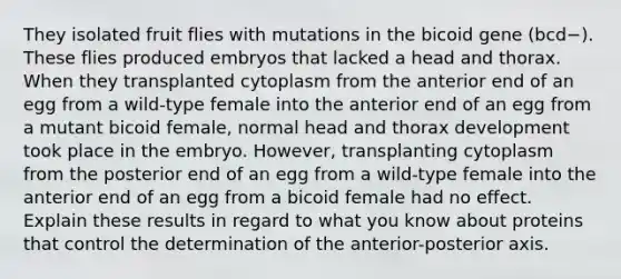 They isolated fruit flies with mutations in the bicoid gene (bcd−). These flies produced embryos that lacked a head and thorax. When they transplanted cytoplasm from the anterior end of an egg from a wild-type female into the anterior end of an egg from a mutant bicoid female, normal head and thorax development took place in the embryo. However, transplanting cytoplasm from the posterior end of an egg from a wild-type female into the anterior end of an egg from a bicoid female had no effect. Explain these results in regard to what you know about proteins that control the determination of the anterior-posterior axis.