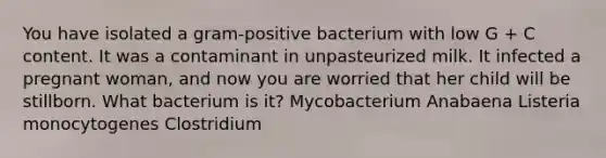 You have isolated a gram-positive bacterium with low G + C content. It was a contaminant in unpasteurized milk. It infected a pregnant woman, and now you are worried that her child will be stillborn. What bacterium is it? Mycobacterium Anabaena Listeria monocytogenes Clostridium