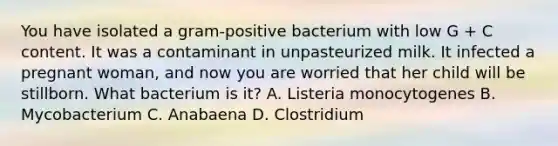 You have isolated a gram-positive bacterium with low G + C content. It was a contaminant in unpasteurized milk. It infected a pregnant woman, and now you are worried that her child will be stillborn. What bacterium is it? A. Listeria monocytogenes B. Mycobacterium C. Anabaena D. Clostridium