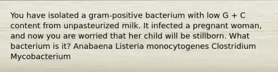 You have isolated a gram-positive bacterium with low G + C content from unpasteurized milk. It infected a pregnant woman, and now you are worried that her child will be stillborn. What bacterium is it? Anabaena Listeria monocytogenes Clostridium Mycobacterium