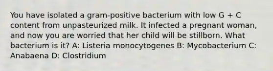 You have isolated a gram-positive bacterium with low G + C content from unpasteurized milk. It infected a pregnant woman, and now you are worried that her child will be stillborn. What bacterium is it? A: Listeria monocytogenes B: Mycobacterium C: Anabaena D: Clostridium