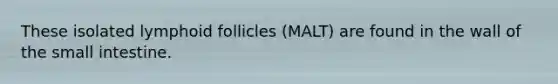 These isolated lymphoid follicles (MALT) are found in the wall of the small intestine.