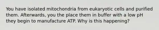 You have isolated mitochondria from eukaryotic cells and purified them. Afterwards, you the place them in buffer with a low pH they begin to manufacture ATP. Why is this happening?