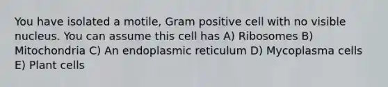 You have isolated a motile, Gram positive cell with no visible nucleus. You can assume this cell has A) Ribosomes B) Mitochondria C) An endoplasmic reticulum D) Mycoplasma cells E) Plant cells