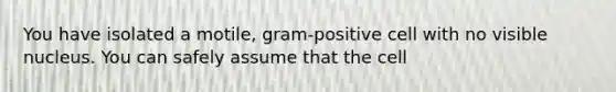 You have isolated a motile, gram‐positive cell with no visible nucleus. You can safely assume that the cell