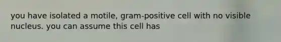 you have isolated a motile, gram-positive cell with no visible nucleus. you can assume this cell has