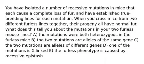 You have isolated a number of recessive mutations in mice that each cause a complete loss of fur, and have established true-breeding lines for each mutation. When you cross mice from two different furless lines together, their progeny all have normal fur. What does this tell you about the mutations in your two furless mouse lines? A) the mutations were both heterozygous in the furless mice B) the two mutations are alleles of the same gene C) the two mutations are alleles of different genes D) one of the mutations is X-linked E) the furless phenotype is caused by recessive epistasis