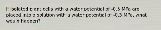 If isolated plant cells with a water potential of -0.5 MPa are placed into a solution with a water potential of -0.3 MPa, what would happen?