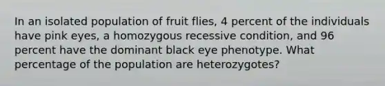 In an isolated population of fruit flies, 4 percent of the individuals have pink eyes, a homozygous recessive condition, and 96 percent have the dominant black eye phenotype. What percentage of the population are heterozygotes?