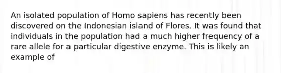 An isolated population of Homo sapiens has recently been discovered on the Indonesian island of Flores. It was found that individuals in the population had a much higher frequency of a rare allele for a particular digestive enzyme. This is likely an example of