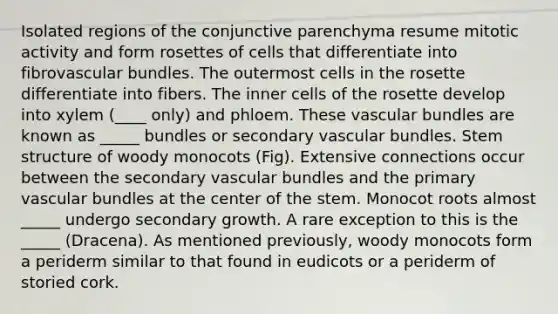 Isolated regions of the conjunctive parenchyma resume mitotic activity and form rosettes of cells that differentiate into fibrovascular bundles. The outermost cells in the rosette differentiate into fibers. The inner cells of the rosette develop into xylem (____ only) and phloem. These vascular bundles are known as _____ bundles or secondary vascular bundles. Stem structure of woody monocots (Fig). Extensive connections occur between the secondary vascular bundles and the primary vascular bundles at the center of the stem. Monocot roots almost _____ undergo secondary growth. A rare exception to this is the _____ (Dracena). As mentioned previously, woody monocots form a periderm similar to that found in eudicots or a periderm of storied cork.