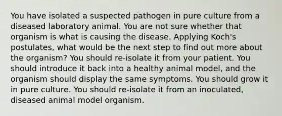 You have isolated a suspected pathogen in pure culture from a diseased laboratory animal. You are not sure whether that organism is what is causing the disease. Applying Koch's postulates, what would be the next step to find out more about the organism? You should re-isolate it from your patient. You should introduce it back into a healthy animal model, and the organism should display the same symptoms. You should grow it in pure culture. You should re-isolate it from an inoculated, diseased animal model organism.