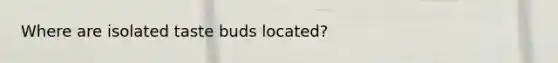 Where are isolated taste buds located?