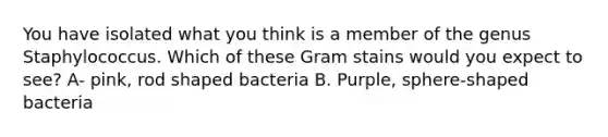 You have isolated what you think is a member of the genus Staphylococcus. Which of these Gram stains would you expect to see? A- pink, rod shaped bacteria B. Purple, sphere-shaped bacteria