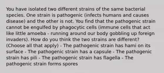 You have isolated two different strains of the same bacterial species. One strain is pathogenic (infects humans and causes disease) and the other is not. You find that the pathogenic strain cannot be engulfed by phagocytic cells (immune cells that act like little amoeba - running around our body gobbling up foreign invaders). How do you think the two strains are different? (Choose all that apply) - The pathogenic strain has hami on its surface - The pathogenic strain has a capsule - The pathogenic strain has pili - The pathogenic strain has flagella - The pathogenic strain forms spores