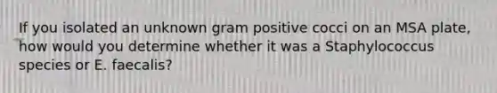 If you isolated an unknown gram positive cocci on an MSA plate, how would you determine whether it was a Staphylococcus species or E. faecalis?
