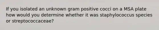 If you isolated an unknown gram positive cocci on a MSA plate how would you determine whether it was staphylococcus species or streptococcaceae?