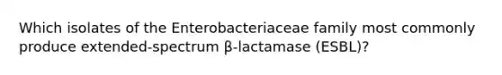 Which isolates of the Enterobacteriaceae family most commonly produce extended-spectrum β-lactamase (ESBL)?