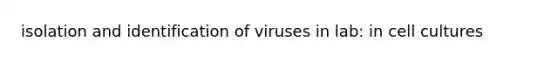 isolation and identification of viruses in lab: in cell cultures