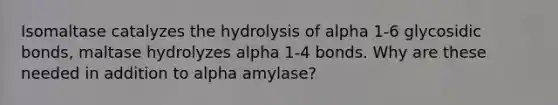 Isomaltase catalyzes the hydrolysis of alpha 1-6 glycosidic bonds, maltase hydrolyzes alpha 1-4 bonds. Why are these needed in addition to alpha amylase?