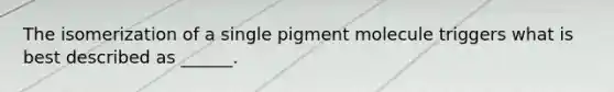 The isomerization of a single pigment molecule triggers what is best described as ______.