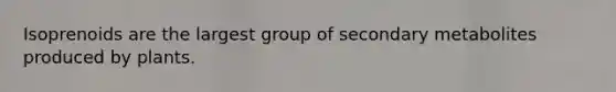 Isoprenoids are the largest group of secondary metabolites produced by plants.