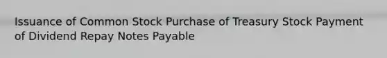 Issuance of Common Stock Purchase of Treasury Stock Payment of Dividend Repay Notes Payable