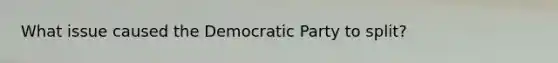 What issue caused the Democratic Party to split?