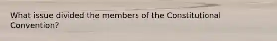 What issue divided the members of the Constitutional Convention?