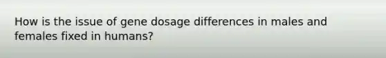 How is the issue of gene dosage differences in males and females fixed in humans?