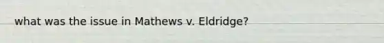 what was the issue in Mathews v. Eldridge?